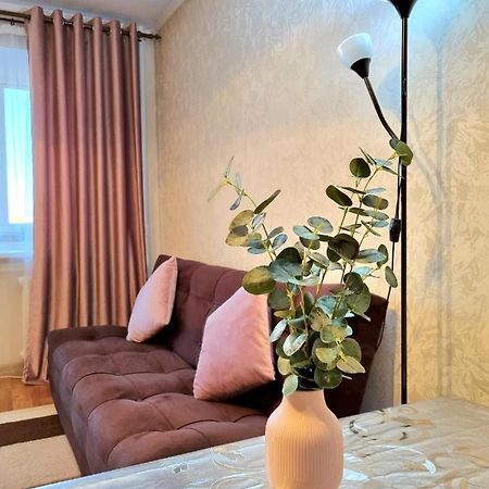 Apartment на Стрелке с красивым видом на Иртыш Усть-Каменогорск Экстерьер фото