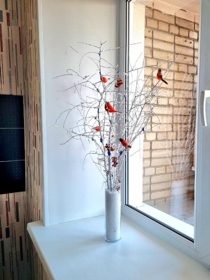 Apartment на Стрелке с красивым видом на Иртыш Усть-Каменогорск Экстерьер фото